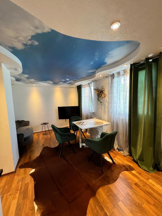 Lifestyle Apartment Зинсхайм Экстерьер фото